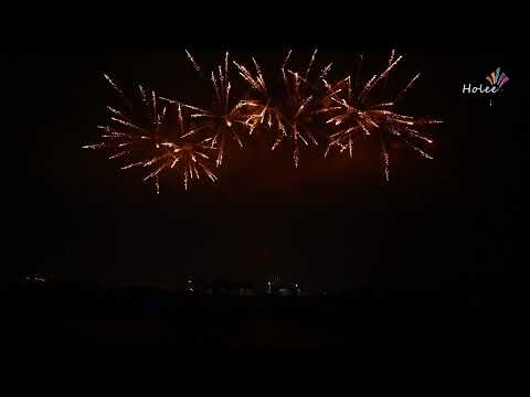 1 2 fan shape cake, 49 shots   golden strobe tail with golden strobe willow