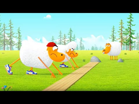 KARATE SHEEP EP7 – À vos marques, prêts, broutez ! / Donne la papatte / Jaloux du joujou