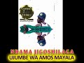 Ndama Jigoshilaga