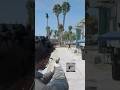 HHP Stay Puttin Belt Gta Gtarp Fypage Fivem Newleaf Hhp Furiousfade Newleafrp