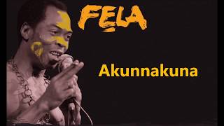 Akunnakuna - Fela Kuti (Live)