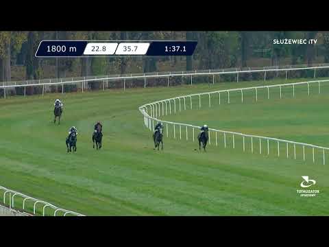 13.11.2022 - (Dzień 46; Gonitwa 1)