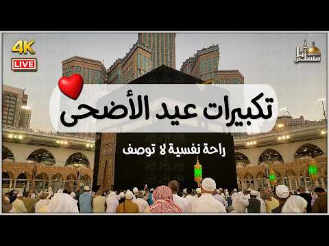 بث مباشر 🕋 تكبيرات عيد الأضحى المبارك 2026 بصوت جميل 🌷💛 لنجعلها تملأ الدنيا الله أكبر الله أكبر