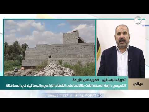 فيديو | بعض الوزارات لم تكترث للواقع الزراعي في محافظة ديالى   عضو مجلس النواب السابق فرات التميمي يوضح ذلك