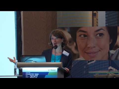 2017 Coface Country Risk Conference - Sovereign risks for China & Asia Pacific in 2018