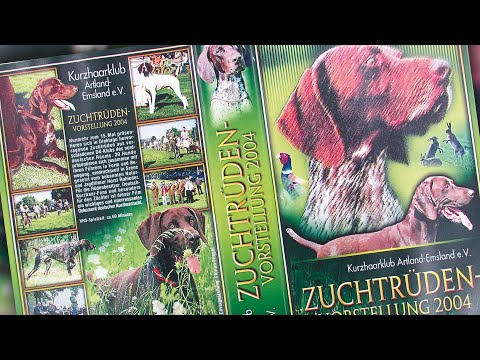 Deutsch Kurzhaar Zuchtrüdenvorstellung Kurzhaarklub Artland-Emsland