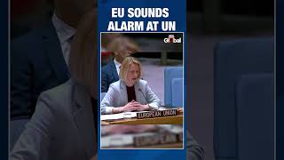 EU’s Kaja Kallas Warns of New World Order Amid Ukraine War and West Asia Crisis