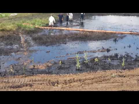 Poluare Giurgiu (Uiesti, rau Dambovnic)