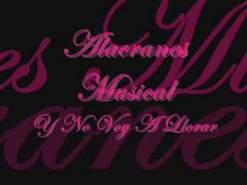 No Voy A Llorár - Alacranes Musical