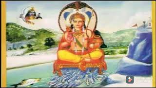 Download lagu राजा पेड़ karka new  Rakesh Kumar jogi👍 9622219755 mp3