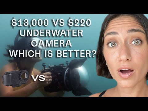 Underwater Photography on a Budget--Axis Go w/ iPhone vs. Canon R5
