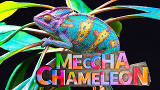 Video thumbnail image
