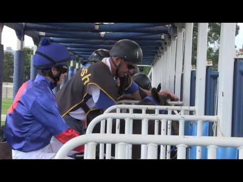 Mike "The Azzman" Azzie