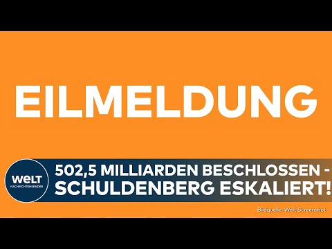 BUNDESHAUSHALT 2025: Bundestag beschließt 502,5 Mrd. Euro – Rekordschulden von 140 Mrd. geplant!