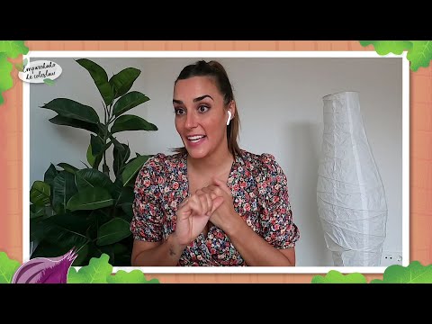 Descubre la verdad sobre las semillas de lino: ¿Engordan o no? | Actualizado septiembre 2023