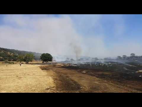 Incendio entre Carrascal del Obispo y Sanchón de la Sagrada