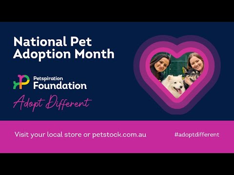 Mês Nacional de Adoção de Animais de Estimação | Petspiration Foundation