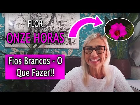Flor ONZE HORAS - Fios Brancos, O Que Fazer // Jardins Lindos!!