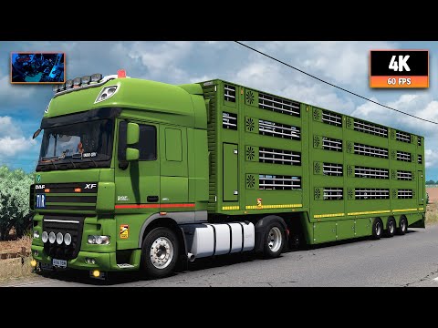 DAF XF105 510 | Setúbal - Sevilla | ETS2 4K Gameplay + Wheel Cam