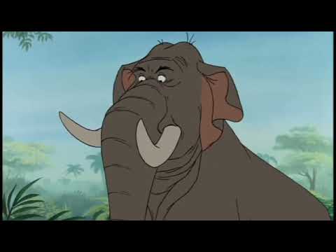 Teddy Bears Don't Dance - Part 15 Little Ark Angel Premiere