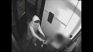 46 Pct - Robbery