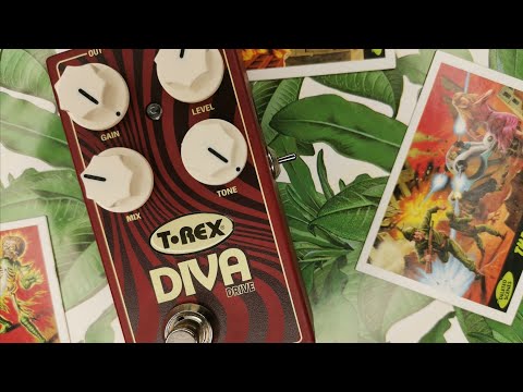 T-Rex: Diva Drive - On Bass | Amateur Effects Reviews