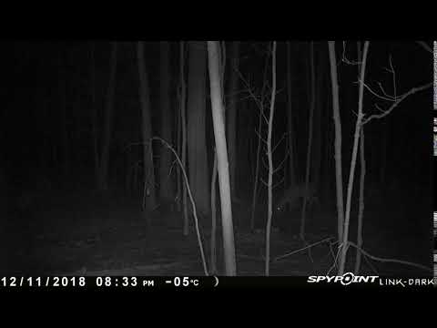 8 POINTER COURTICE ONTARIO