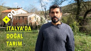 Doğal tarım: "Hiçbir şey yapma tarımı" | "Sulamaya ve yabani bitkilerl