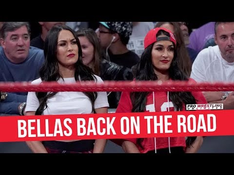 Nikki And Brie Bella Make Their Return To In-Ring Competition At A WWE Live Event