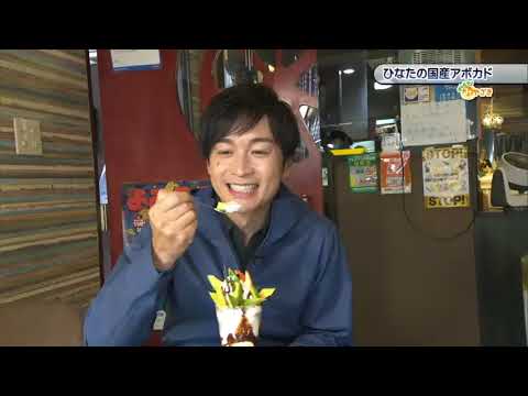 2021年11月27日(土)放送 「ひなたの県産アボカド」