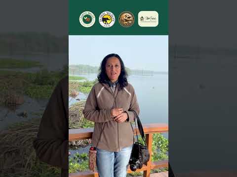 Surajpur Wetlands | A Deeper Connection with Nature