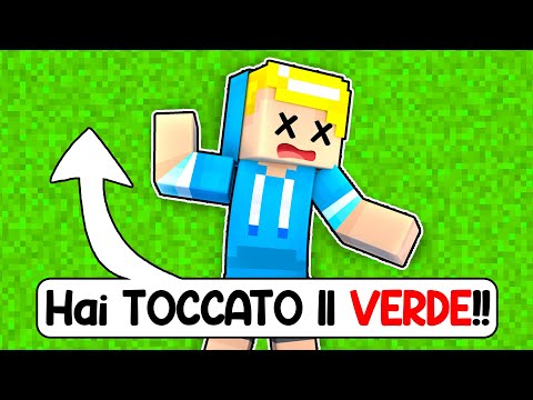 MINECRAFT MA SE TOCCHI IL VERDE LO CANCELLI!!
