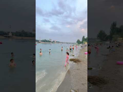 Syr Darya beach 🏖️ Khujand Sughd province Tajikistan 🇹🇯 #beachvibes #river #shorts #соҳил #asia
