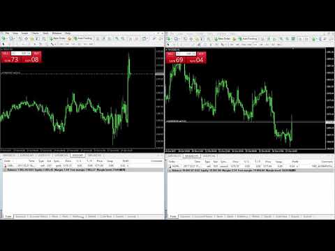 Video One more Copier MT4