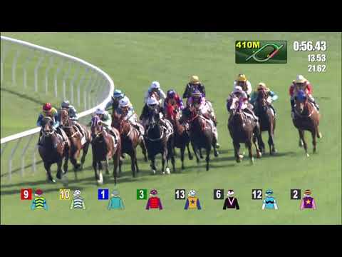 11/4/2021 (580) Everyone's Delight- A Badel