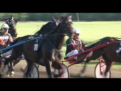 VIII trka "XI Memorijal dr Lazar Panković"- Srbobran 14.05.2017.