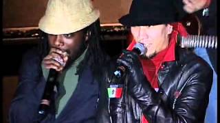 The Black Eyed Peas - Dum Diddly (live)