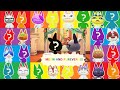 When All My 23 Cat Villagers GOT MARRIED in Animal Crossing | Animal Crossing New Horizons Dating