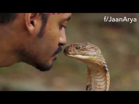 Man Kisses Cobra Head