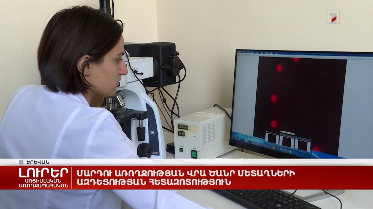 Մարդու առողջության վրա ծանր մետաղների ազդեցության հետազոտություն