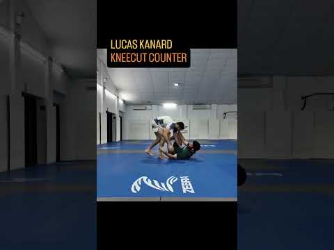 Knee Cut Counter by Lucas Kanard