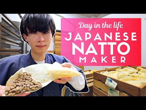 一個日本納豆製造商的一天 (Day in the Life of a Japanese Natto Maker)