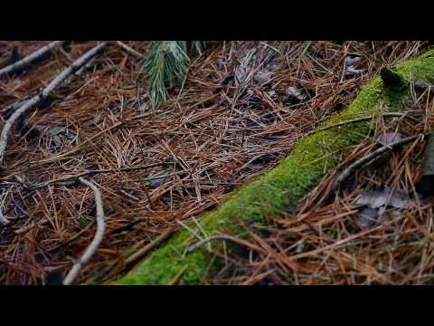Plastic Soup - Polyculture (Video - Paul Hulak)