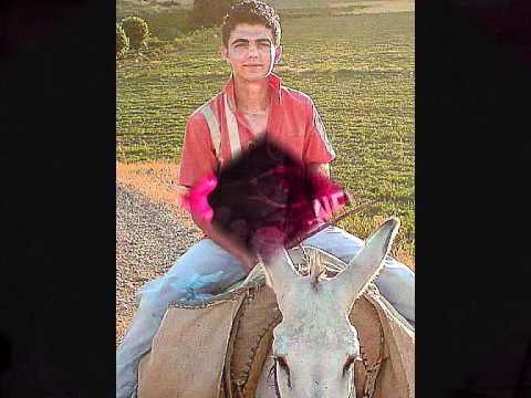 beta ft Doga bora- Tutarsiz