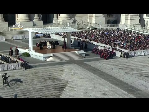 Audience générale du 16 novembre 2016