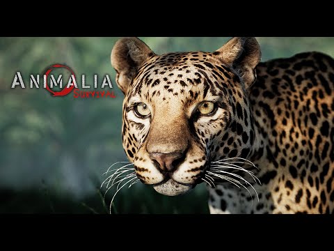 Survive and live as Leopard - Animalia Survival LIVE