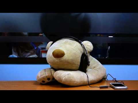 รีวิวเสียงหูฟัง Sennheiser MOMENTUM ทดสอบพลังเสียงของเจ้าหูฟังสุดเจ๋งตัวนี้กัน