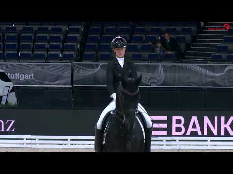 Dressurcup der Firma iWEST - STUTTGART GERMAN MASTERS