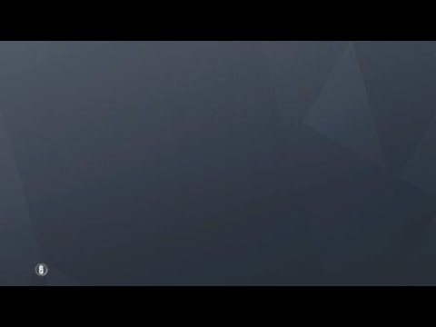 Echo and Valkyrie's demise