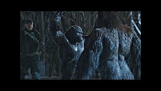 Rocket vs Red Donkey - Fight Scene | War for the Planet of the Apes (2017)#LOWI